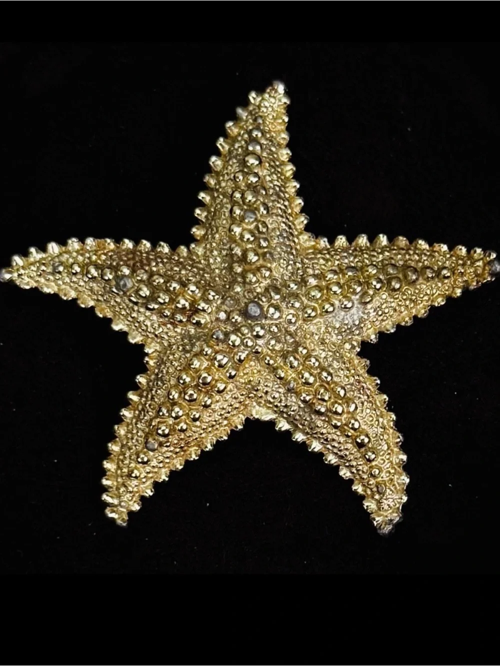 Vintage aged, goldtone raised Starfish Brooch Pin
